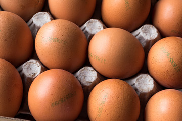 Marking Code Numbers Printed on Egg with Package / Container.