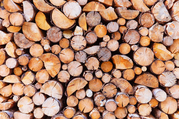 Macro view of wooden tree trunks