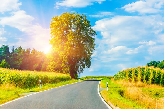 Rural Winding Road In Sunset