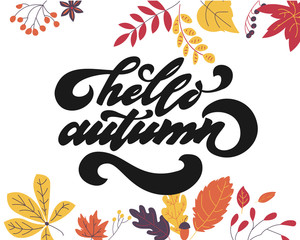 Fototapeta na wymiar Hello autumn. Hand drawn calligraphy and brush pen lettering. design for holiday greeting card and invitation of seasonal autumn holiday. black on white
