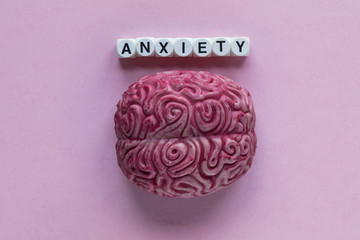 Human brain with the word anxiety. Mental health concept