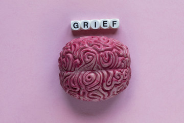 Human brain with the word grief. Mental health concept