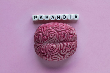 Human brain with the word paranoia. Mental health concept
