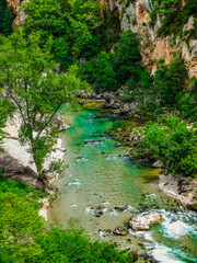 Gorges du Verdon river with green vegetation and rocks , Alpes de Haute Provence, France