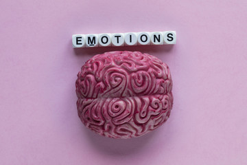 Human brain with the word emotions. Mental health concept