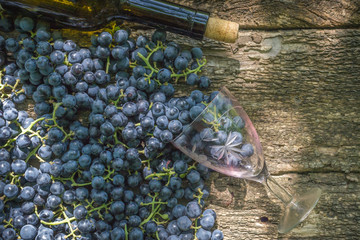 black grapes on wooden background