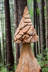 Interesting chopped down arstistic tree in Slovak forest