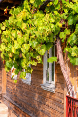 Kraina Otwartych Okiennic / the Land of Open Shutters © podlaski49