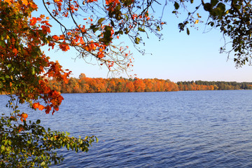 Jezioro drzewa jesień kaszuby - obrazy, fototapety, plakaty