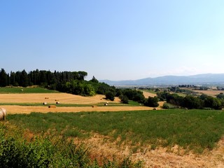 View of cultivated fields.