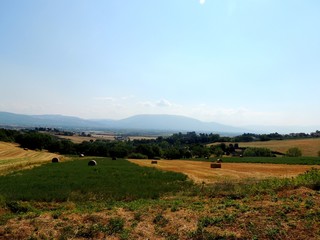 Fototapeta premium View of cultivated fields.