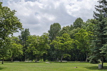 Wooden bench on main alley in the forest at natural old West park, Sofia, Bulgaria 