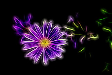 Neon - Gänseblümchen © Mario S.