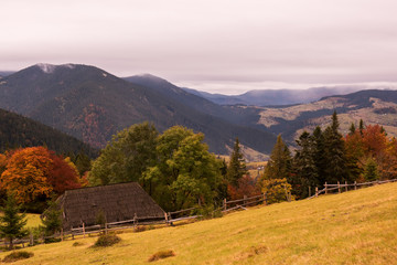Obraz premium autumn in the mountains. An old house and autumn trees against the backdrop of the mountains. Farmer's mountain view. 