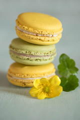 tower from macarons on blue wooden table with nice yellow flower