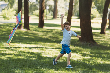 adorable happy boy holding colorful kite and running on grass in park