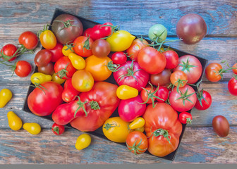?olorful  fresh organic tomatoes on old rustic background, top view