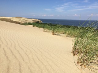 Sand dunes in Neringa, Lithuania