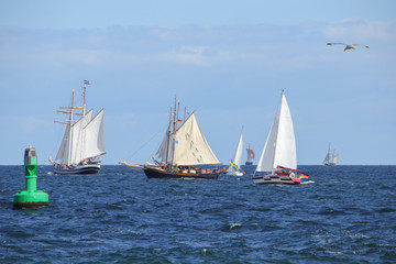 Hanse Sail, Rostock, Segelboote, Möwe, Warnemünde 