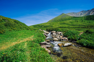 Mountain creek in green valley among rich vegetation of highland in sunny day. Fast water flow from...