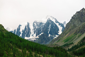 Obraz premium Snowy mountain top between rocky mountains under overcast sky. Rocky ridge in mist above forest. Atmospheric minimalistic landscape of majestic nature.