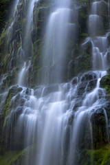Fototapeta na wymiar Lower Proxy Falls in Oregon