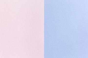 Pink and violet paper texture, blank background for template, horizontal copy space