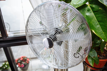 Electric rotating fan