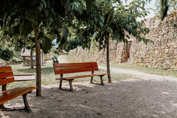 Obraz premium benches in the park under the trees