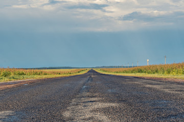 asphalt road to the horizon with a stormy sky between corn fields