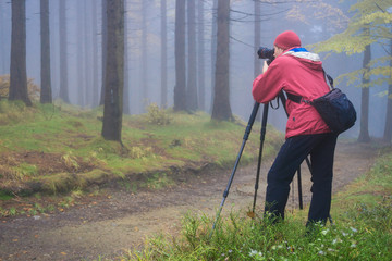 Photographer takes pictures of the magic autumn forest in a dark key © elinque