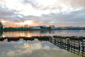 Fototapeta premium 早朝の鶴見川