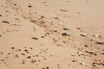 Fototapeta na wymiar Beach sand 1
