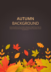 Autumn background with leaves. Can be used for poster, banner, flyer, invitation, website or greeting card. Vector illustration
