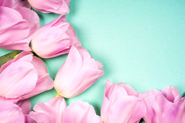spring flowers banner - bunch of pink tulip flowers on blue sky background.
