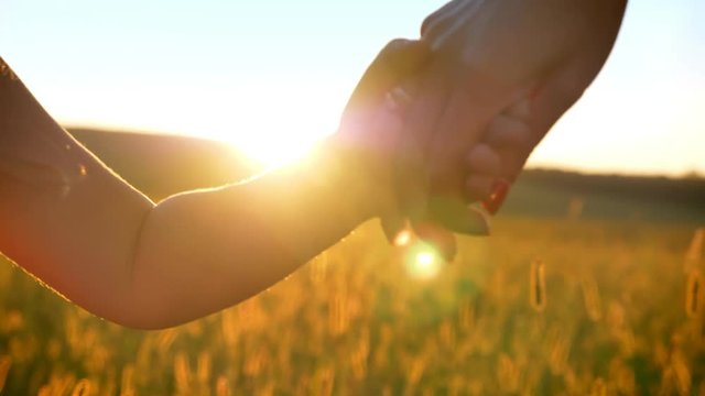 Mother ia walking with her daughter in field in summer, holding hands, family concept