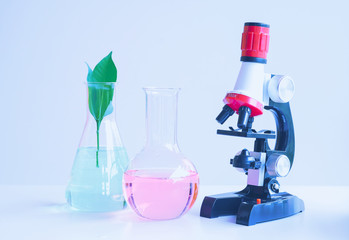 microscope and small plant in test tube , lab biotechnology concept.