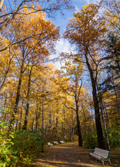 Obraz premium path with benches