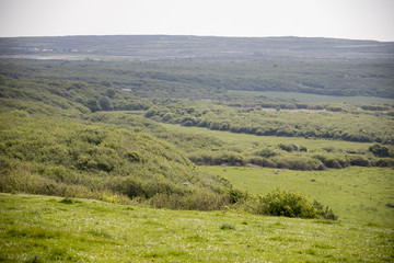 Fototapeta premium The Burren - Irland