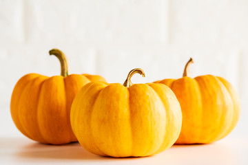 Soft focus on three yellow pumpkin on white brick block background. halloween concept.
