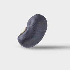 black bean on gray color background and clipping path.