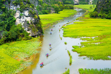 Tourist ride boat for travel sight seeing Rice field on river 