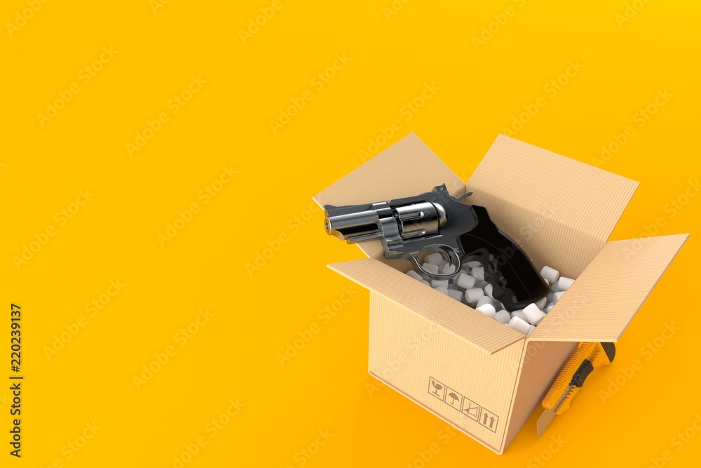 Canvas Prints gun inside package