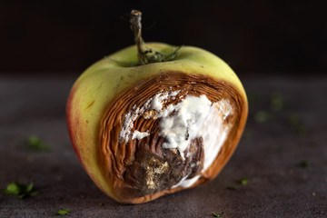 One rotten apple on a wooden background