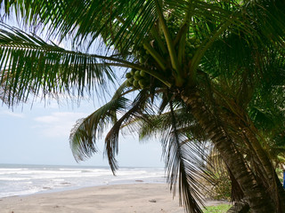 Beach, sea, sand,wave. Tropical beach, blue sky, clouds. Seascape ocean and beautiful beach paradise Travel concept