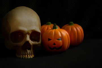 The halloween pumpkin jack and skull in black holiday background image.