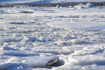 Fototapeta premium Beautiful cold winter landscape with icebergs in Jökulsárlón glacial lagoon, Vatnajökull National Park, southeast of Iceland, Europe.