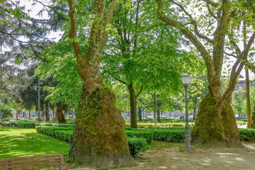 View of city park at daytime, Porto, Portugal