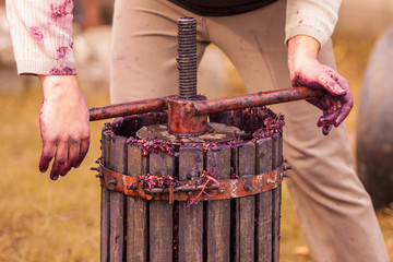 man hands operating the press, Homemade wine production