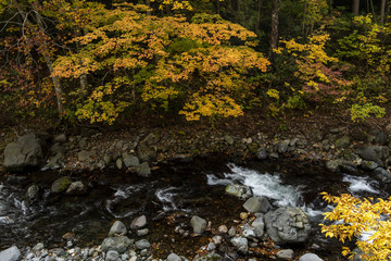 照葉峡の秋
